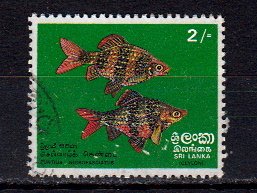 Briefmarken Sri Lanka 431 o